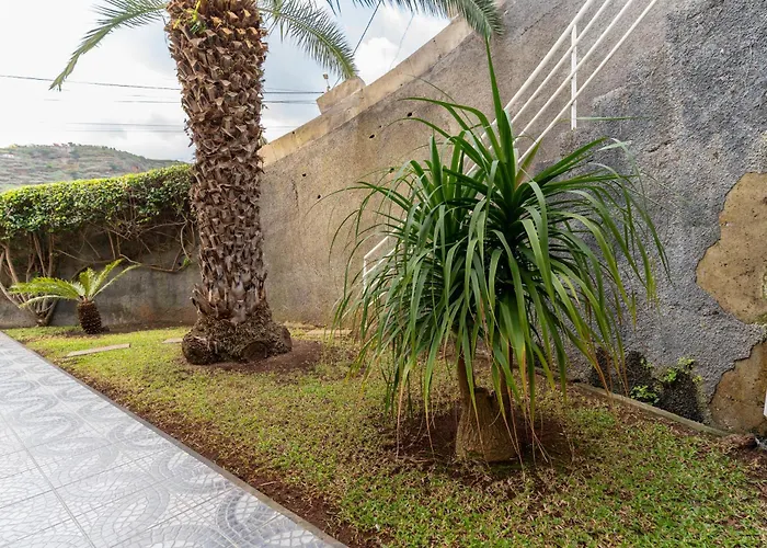 Vanda House Com 2 Quartos Vista Mar E Montanha No Centro Da Ilha * Tabua (Madeira)